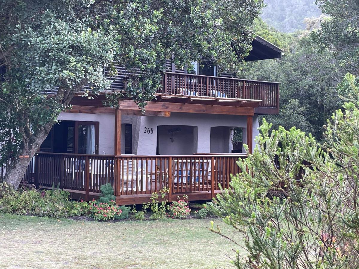 Forest Drive Holiday Home Nature's Valley Exterior photo